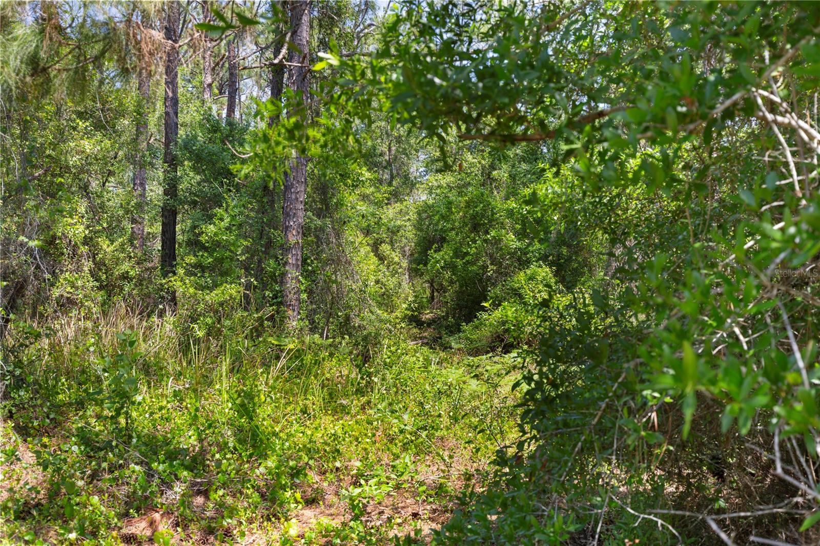 GROVELAND FARMS 15-23-25 - Land