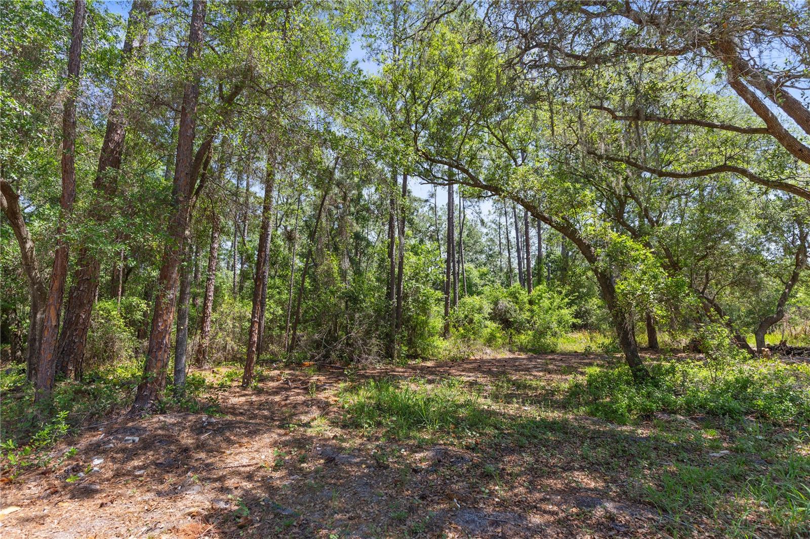 GROVELAND FARMS 15-23-25 - Land