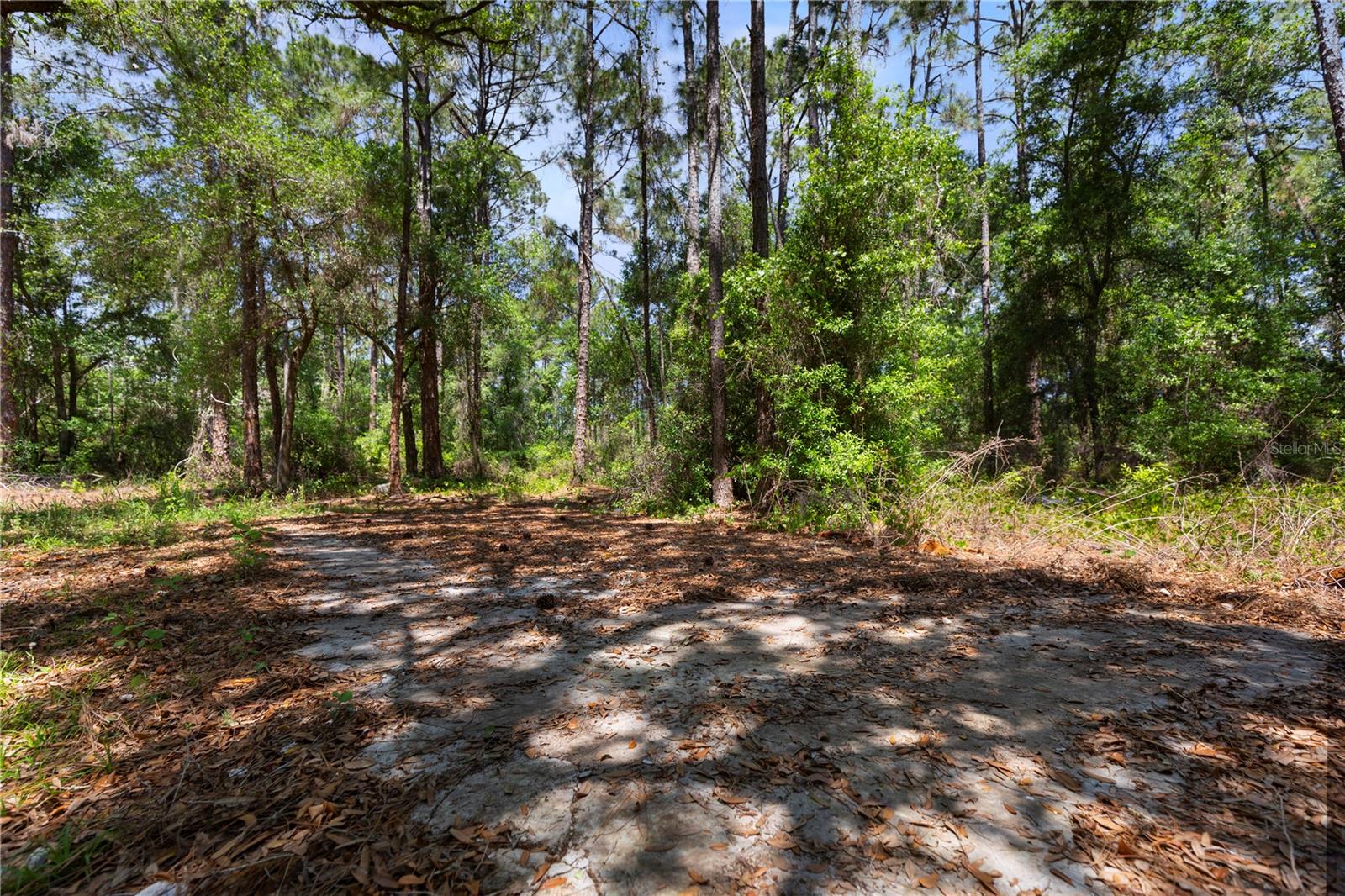 GROVELAND FARMS 15-23-25 - Land