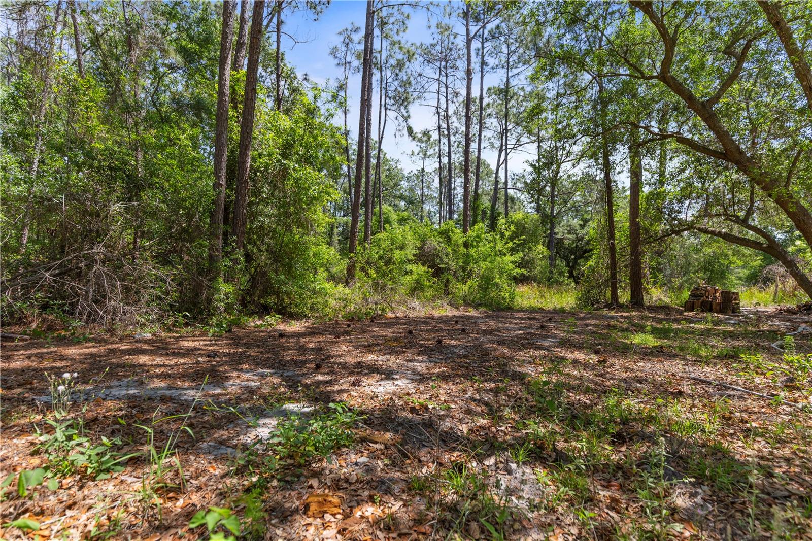 GROVELAND FARMS 15-23-25 - Land