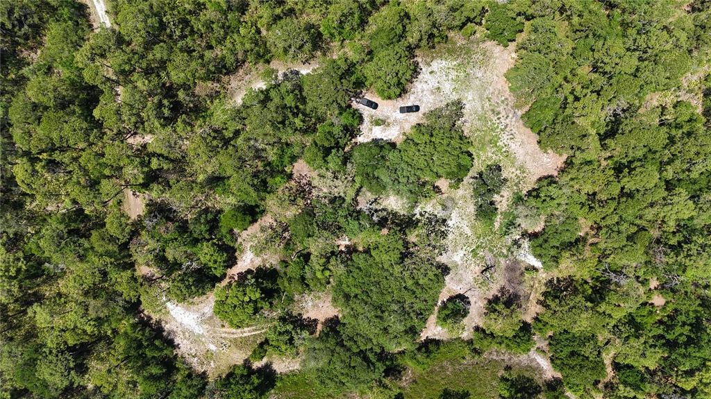 Photo of 9121 Florida Boys Ranch Road, Clermont, FL 34711 (MLS # S5147701)