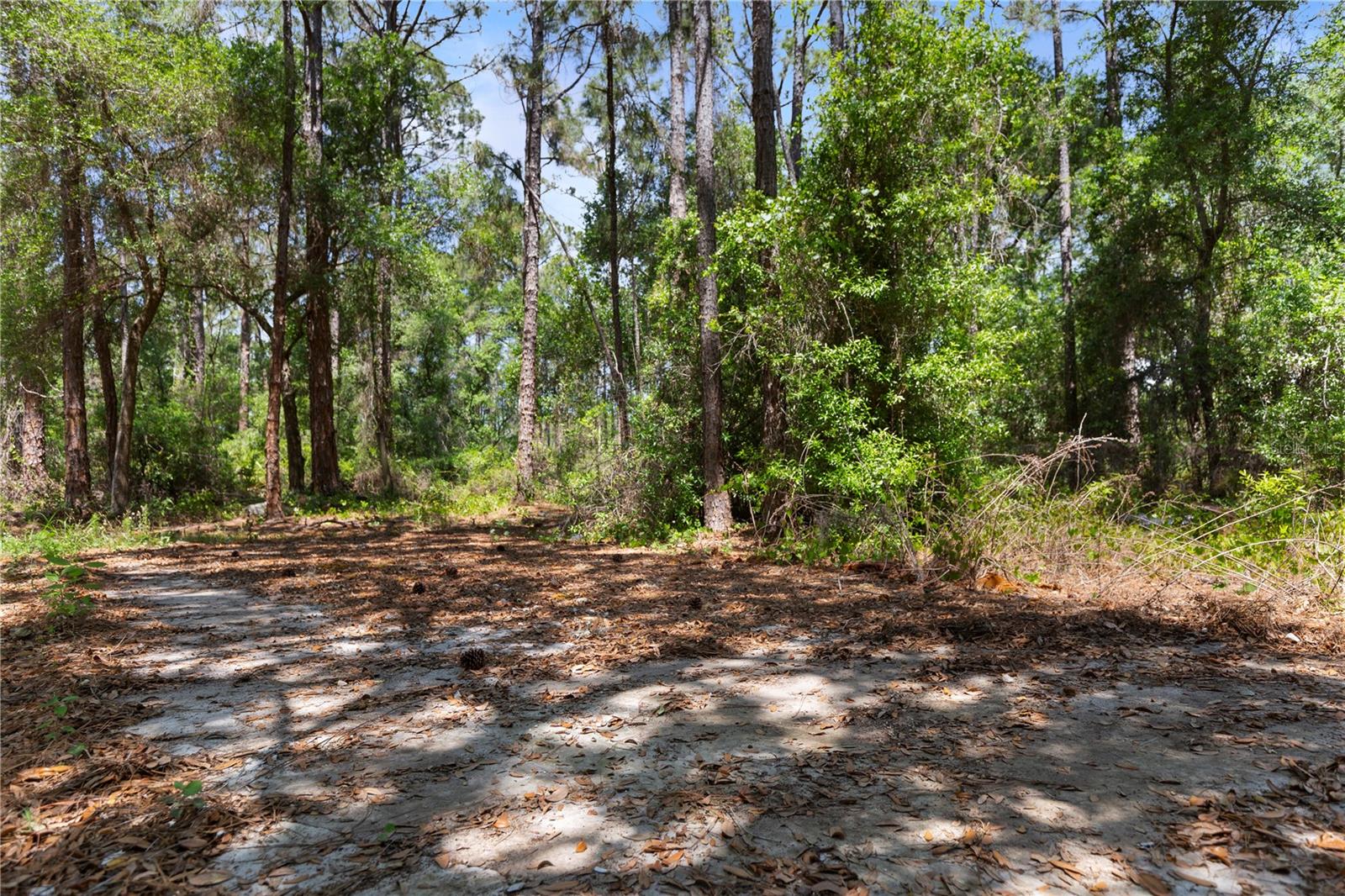 GROVELAND FARMS 15-23-25 - Land