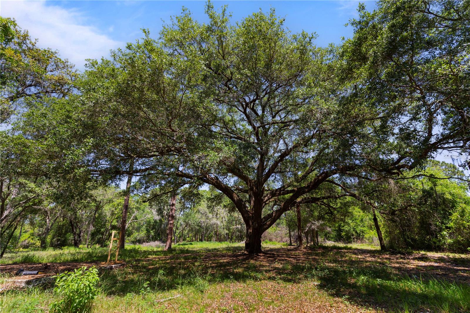GROVELAND FARMS 15-23-25 - Land