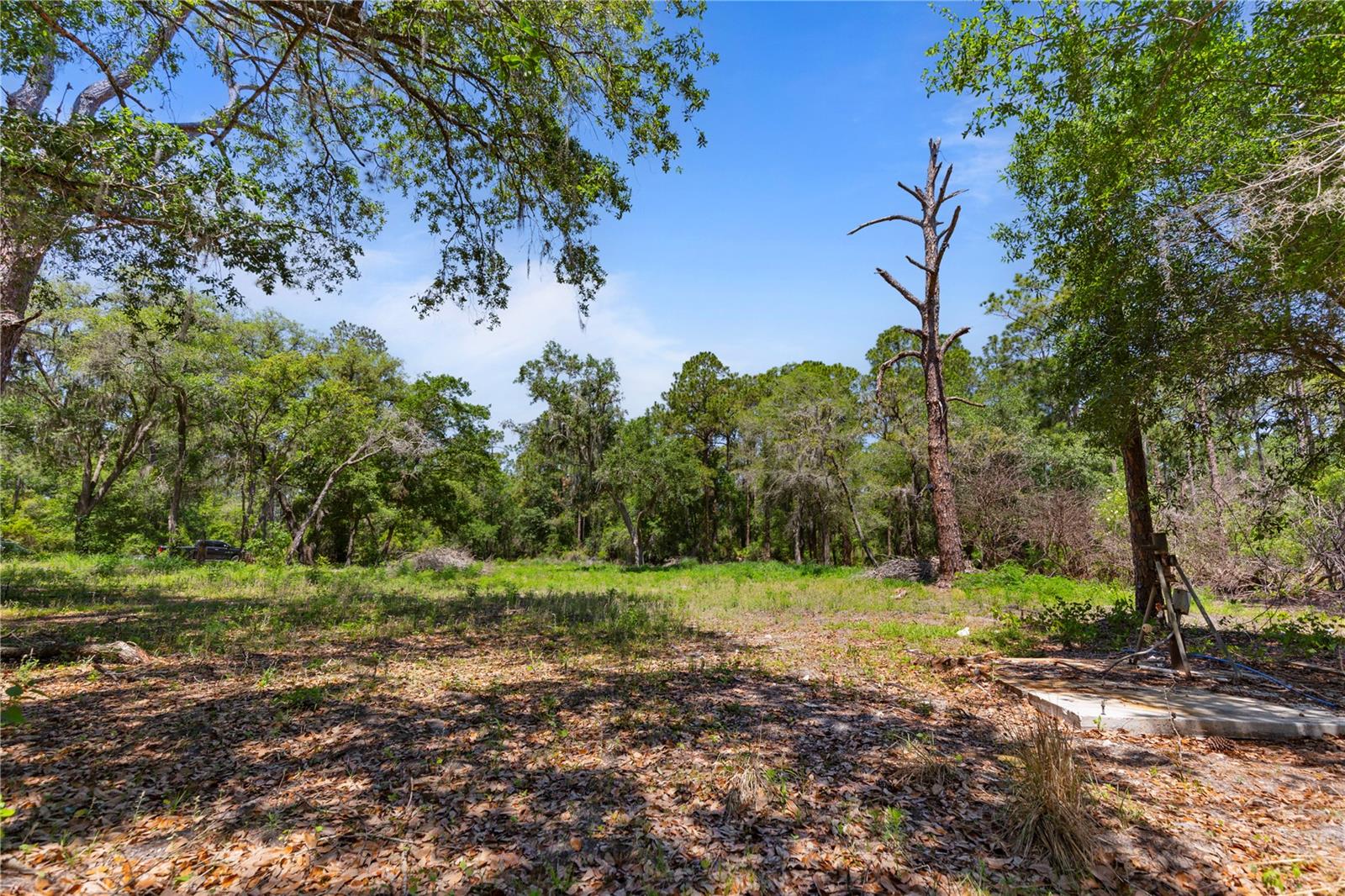 GROVELAND FARMS 15-23-25 - Land