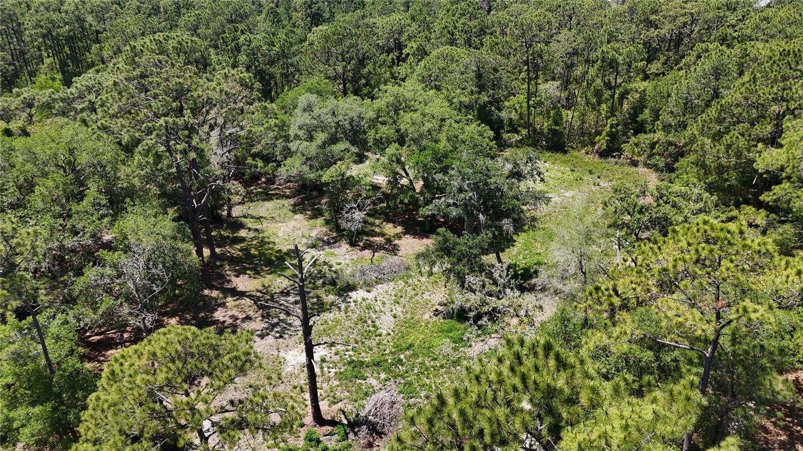 9121 FLORIDA BOYS RANCH ROAD