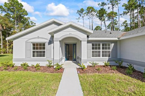 A home in PALM COAST