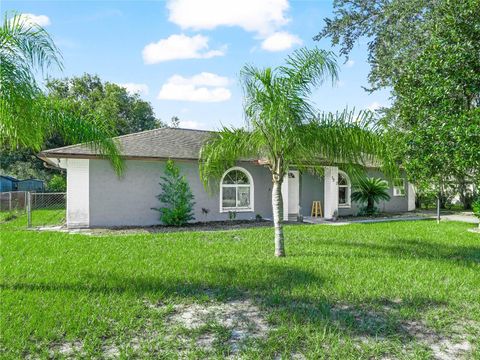 A home in POLK CITY