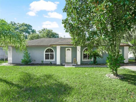 A home in POLK CITY