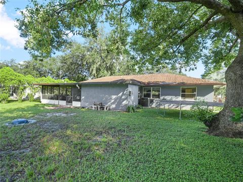 A home in POLK CITY