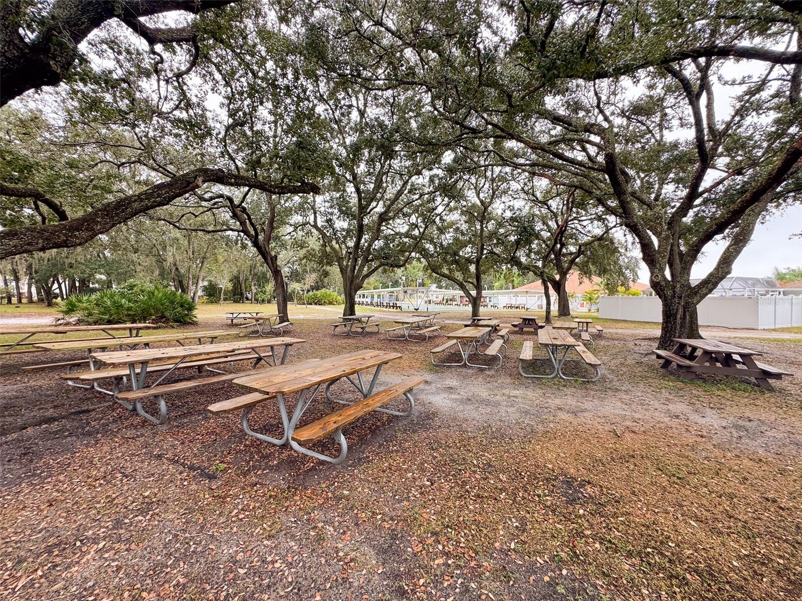 SADDLEBAG LAKE - Residential