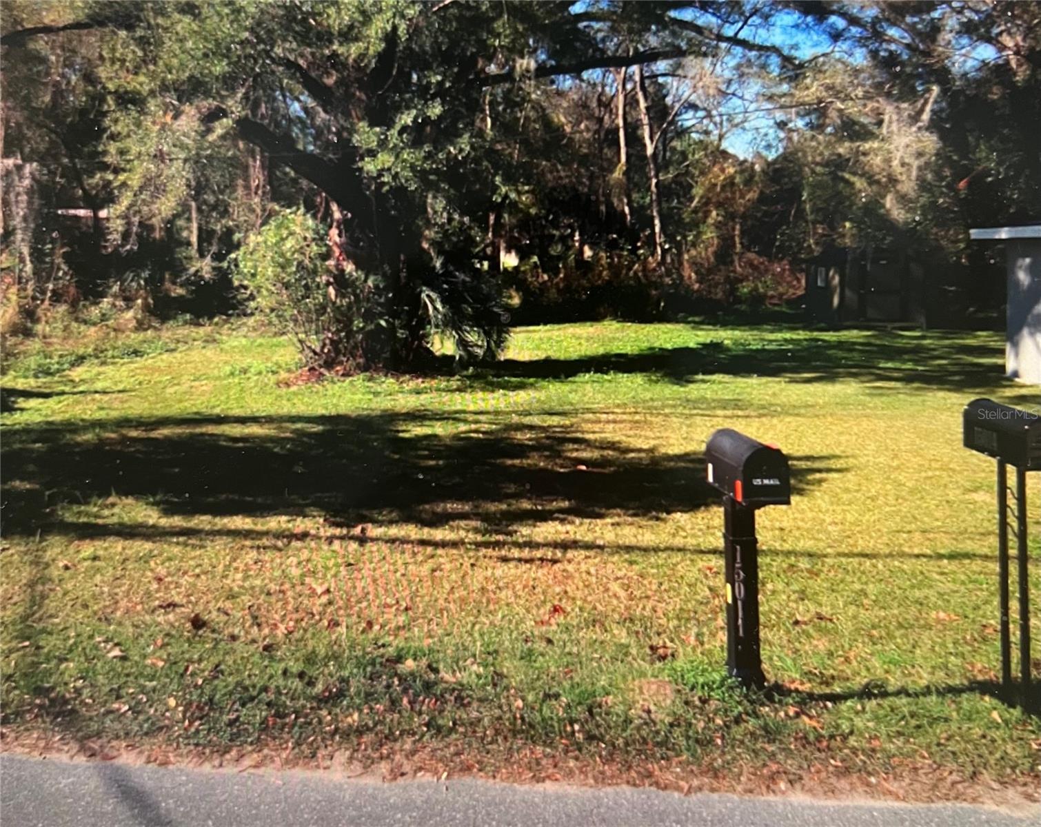 DOWNING-ALACHUA - Land