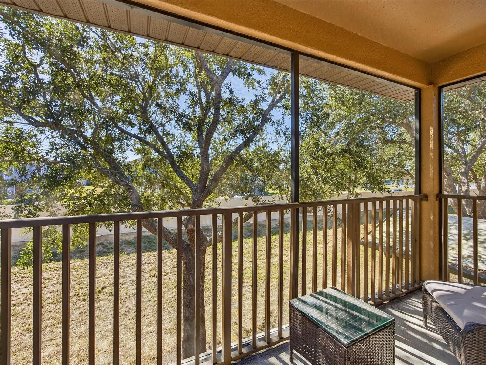 REGAL PALMS AT HIGHLAND RESERVE PH 05 - Residential