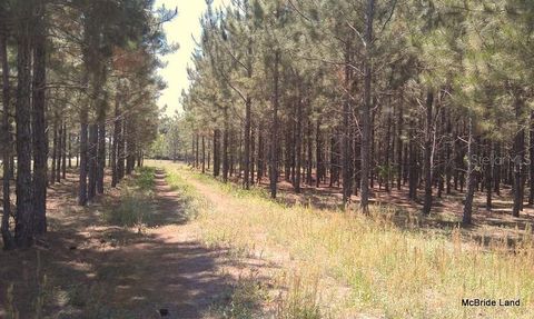 Tiny photo for 17001 SW Highway 484, Dunnellon, FL 34432 (MLS # OM647614)