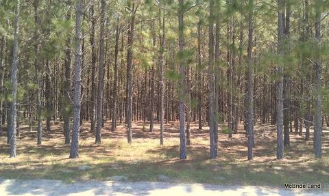 Tiny photo for 17001 SW Highway 484, Dunnellon, FL 34432 (MLS # OM647614)