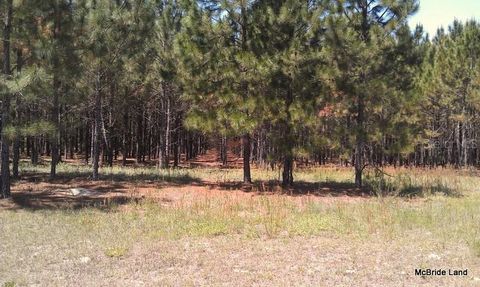 Tiny photo for 17001 SW Highway 484, Dunnellon, FL 34432 (MLS # OM647614)