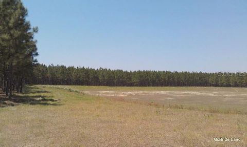 Tiny photo for 17001 SW Highway 484, Dunnellon, FL 34432 (MLS # OM647614)