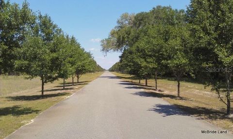 Tiny photo for 17001 SW Highway 484, Dunnellon, FL 34432 (MLS # OM647614)
