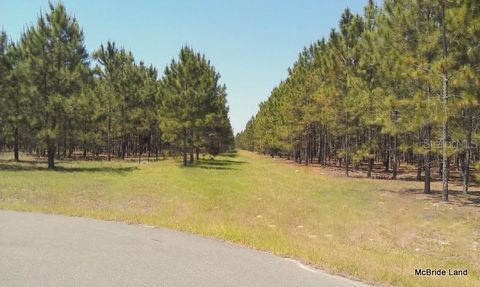 Tiny photo for 17001 SW Highway 484, Dunnellon, FL 34432 (MLS # OM647614)