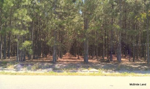 Tiny photo for 17001 SW Highway 484, Dunnellon, FL 34432 (MLS # OM647614)