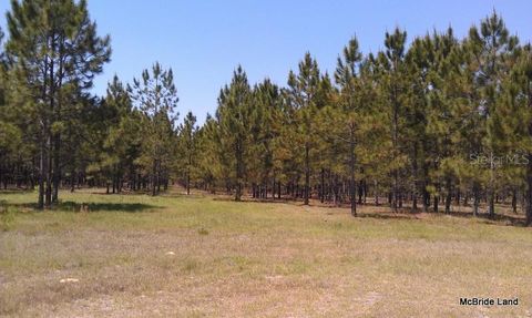 Tiny photo for 17001 SW Highway 484, Dunnellon, FL 34432 (MLS # OM647614)