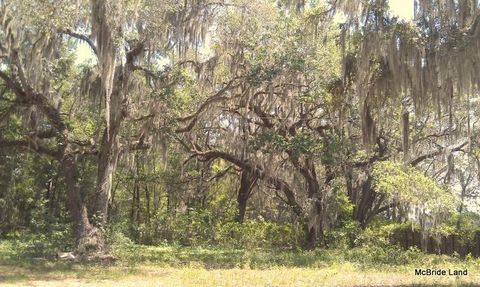 Tiny photo for 17001 SW Highway 484, Dunnellon, FL 34432 (MLS # OM647614)
