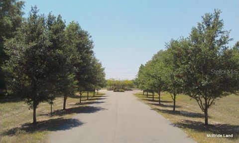 Tiny photo for 17001 SW Highway 484, Dunnellon, FL 34432 (MLS # OM647614)
