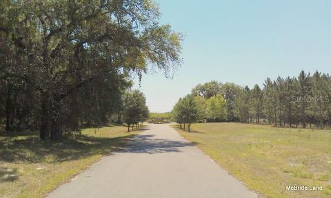 Tiny photo for 17001 SW Highway 484, Dunnellon, FL 34432 (MLS # OM647614)