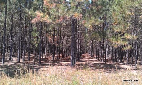 Tiny photo for 17001 SW Highway 484, Dunnellon, FL 34432 (MLS # OM647614)