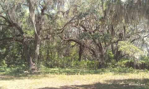 Tiny photo for 17001 SW Highway 484, Dunnellon, FL 34432 (MLS # OM647614)