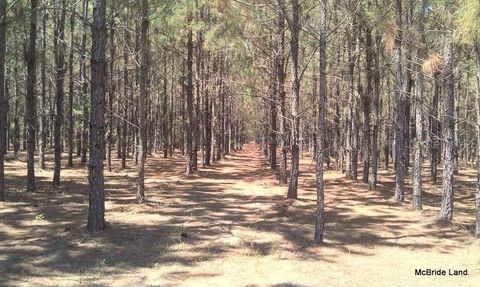Tiny photo for 17001 SW Highway 484, Dunnellon, FL 34432 (MLS # OM647614)