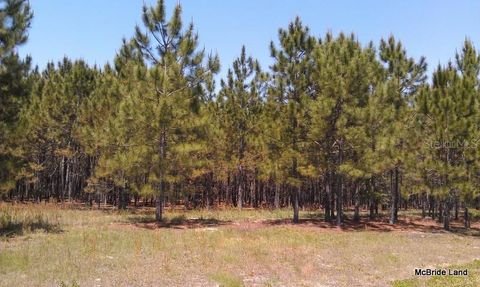 Tiny photo for 17001 SW Highway 484, Dunnellon, FL 34432 (MLS # OM647614)