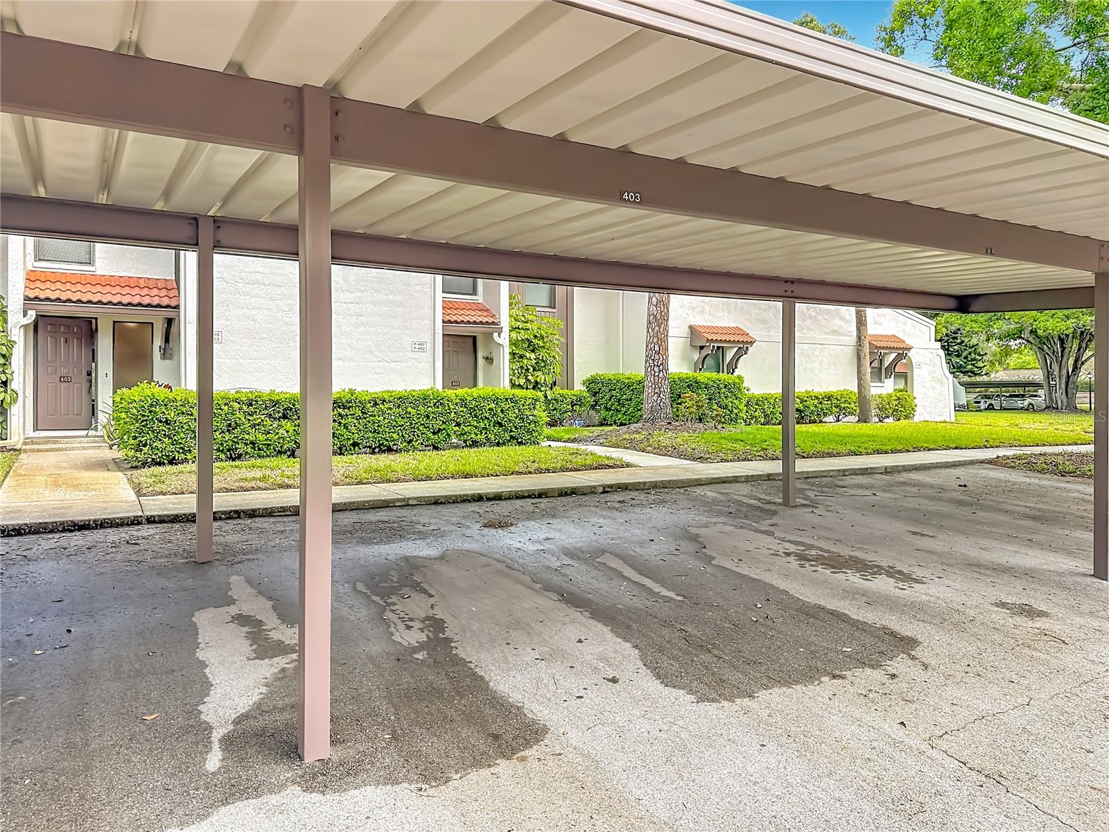 TARPON WOODS CONDO - Residential