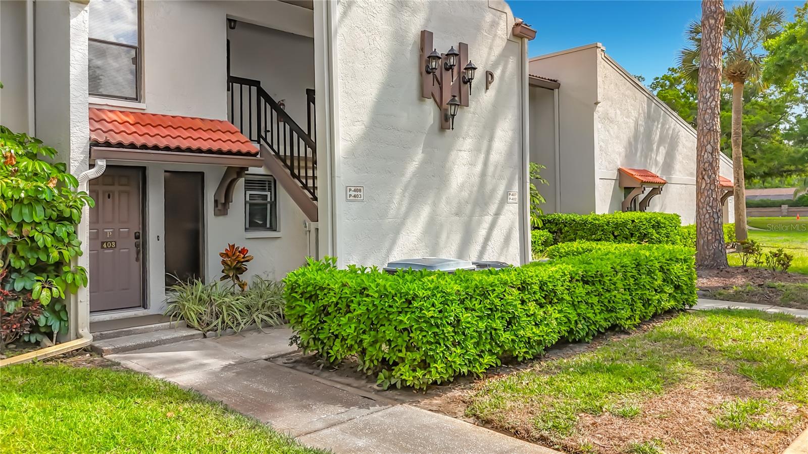 TARPON WOODS CONDO - Residential