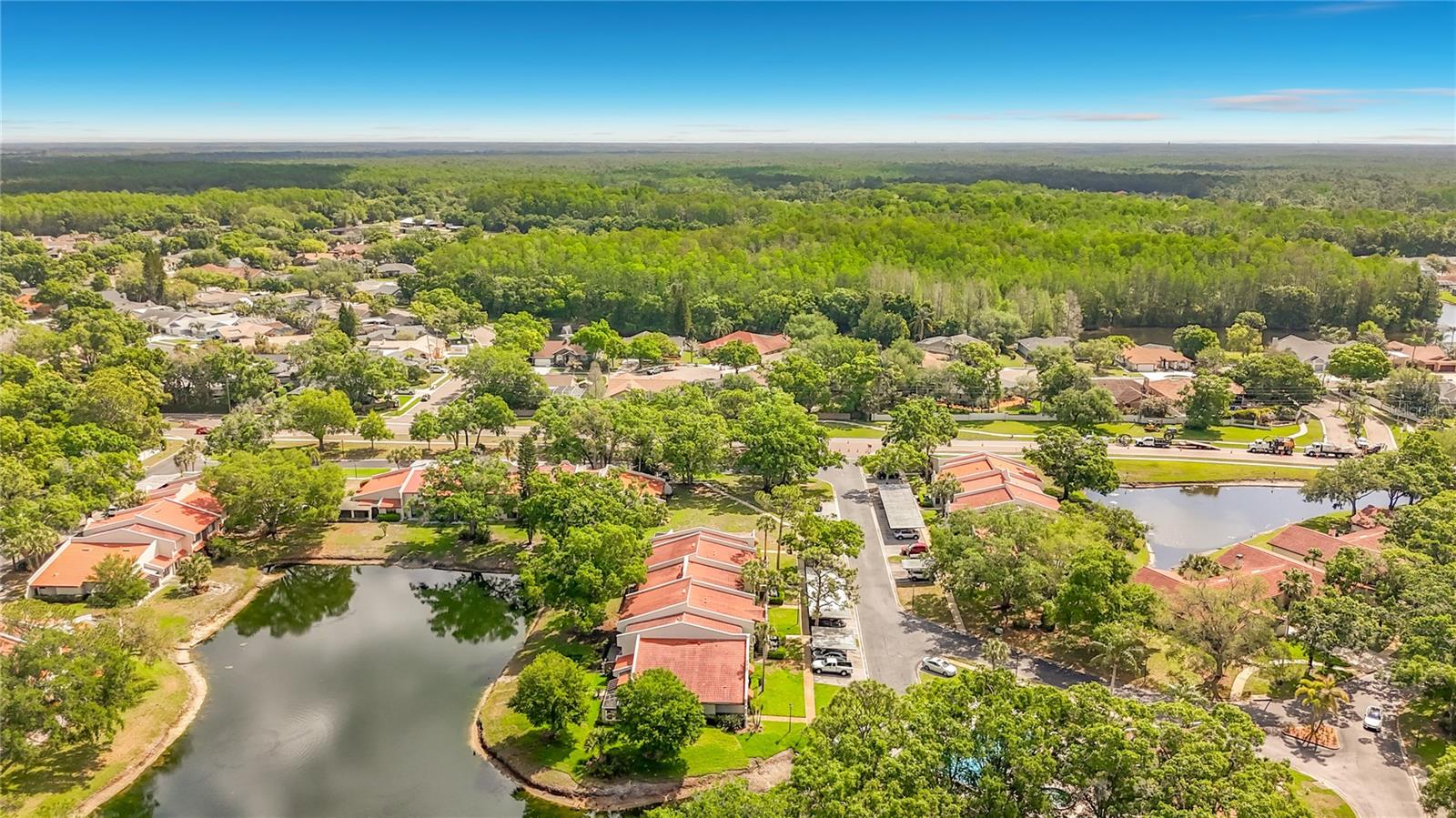 TARPON WOODS CONDO - Residential