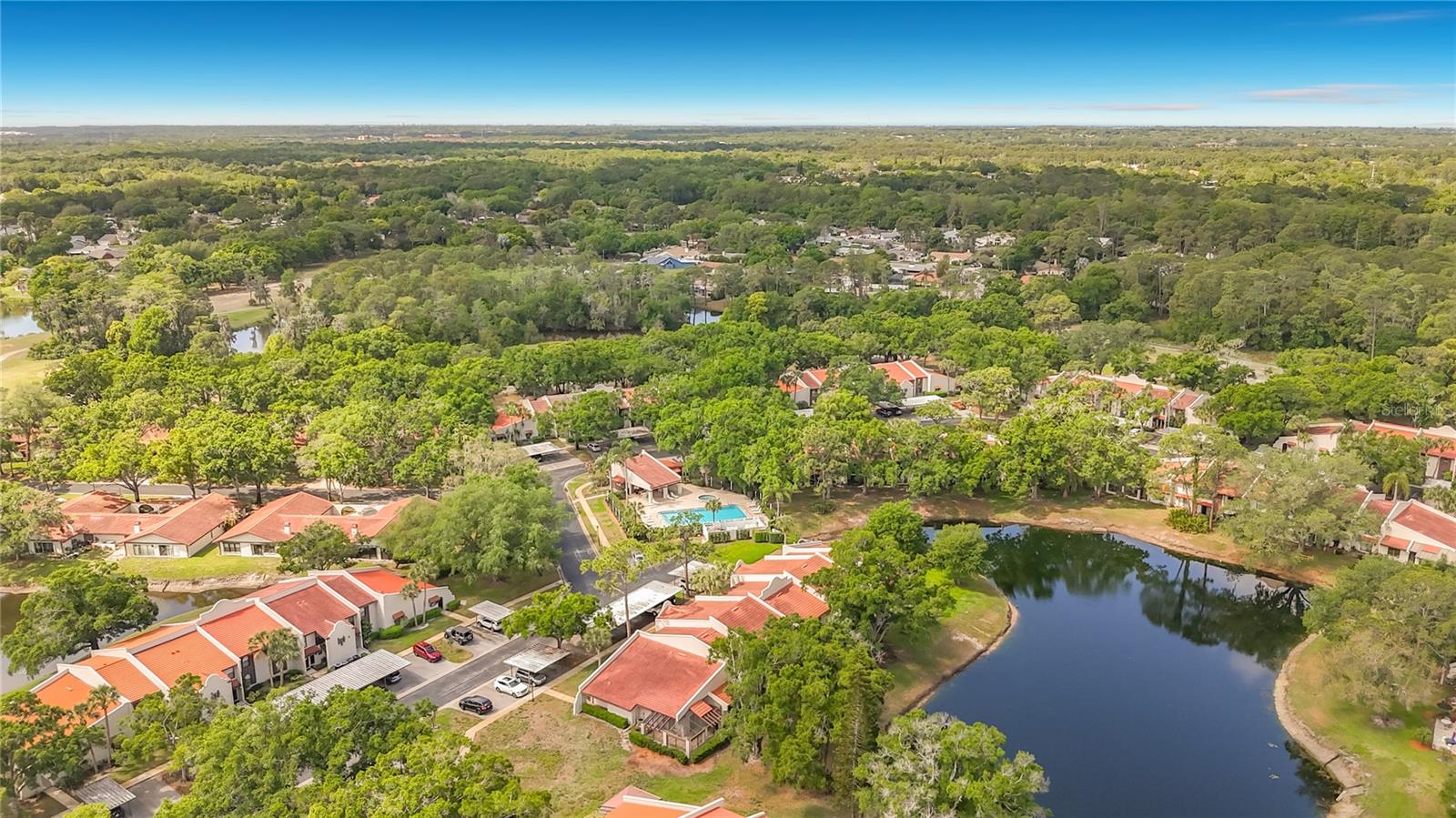 TARPON WOODS CONDO - Residential