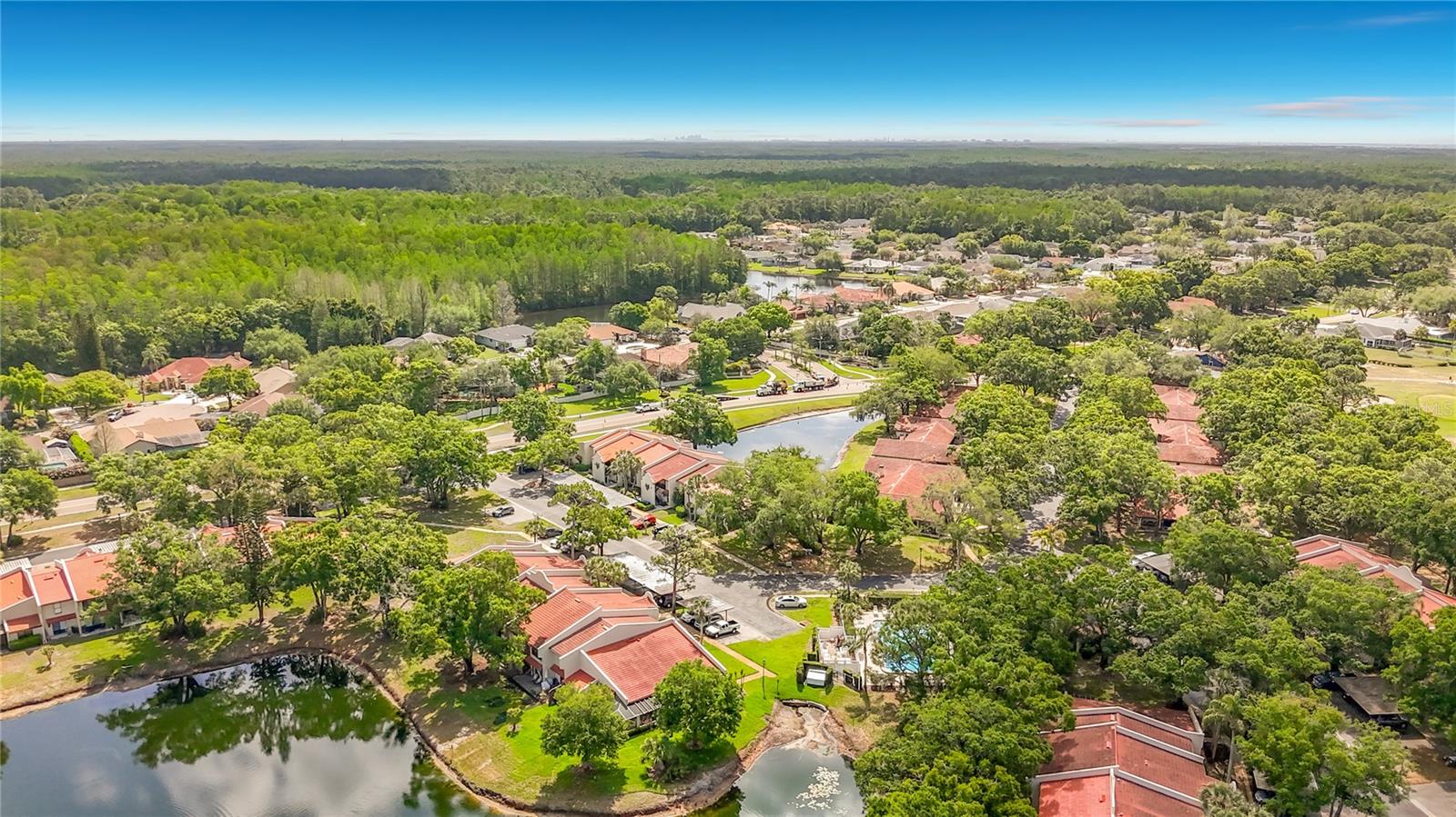 TARPON WOODS CONDO - Residential