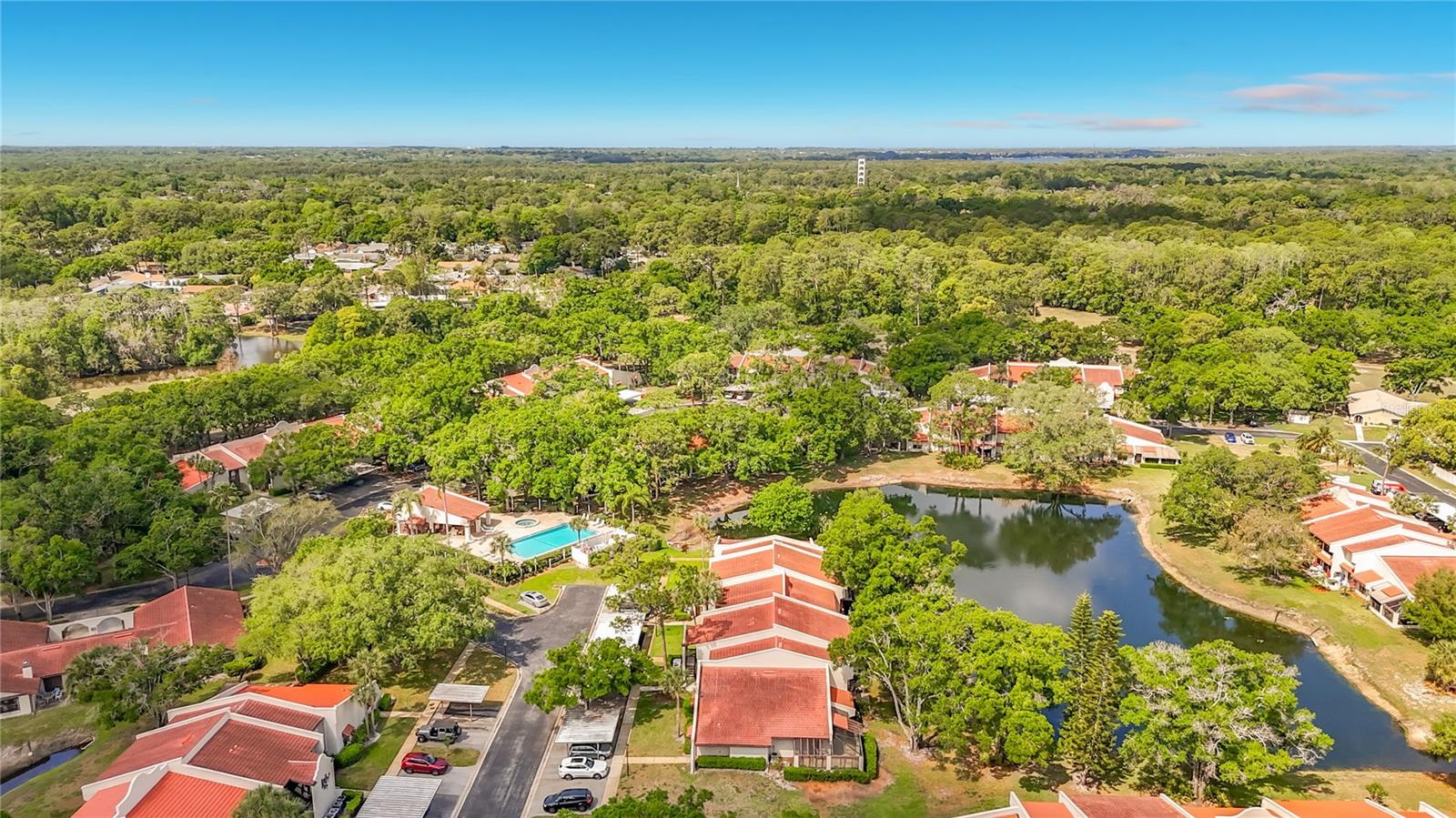 TARPON WOODS CONDO - Residential