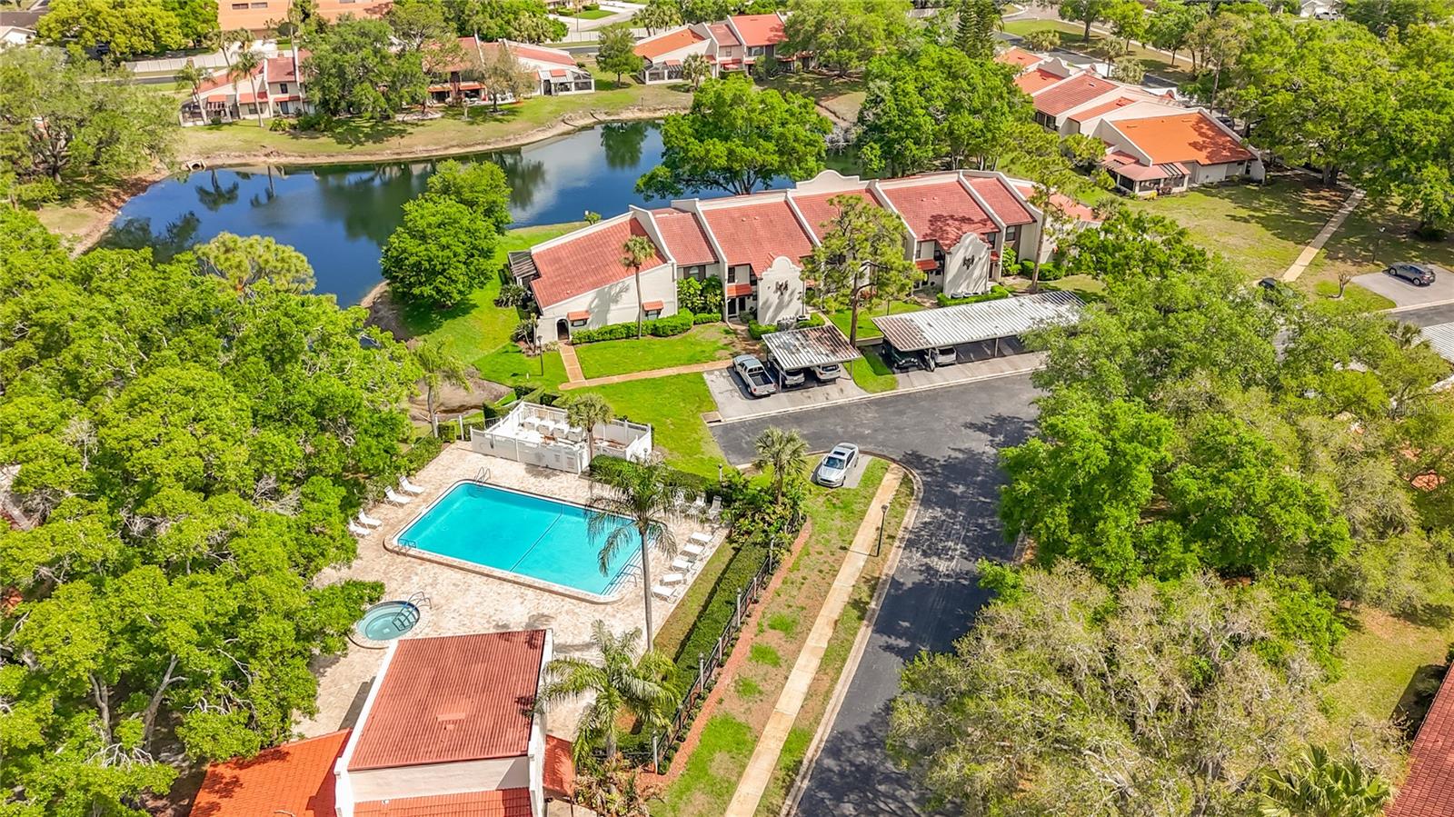 TARPON WOODS CONDO - Residential