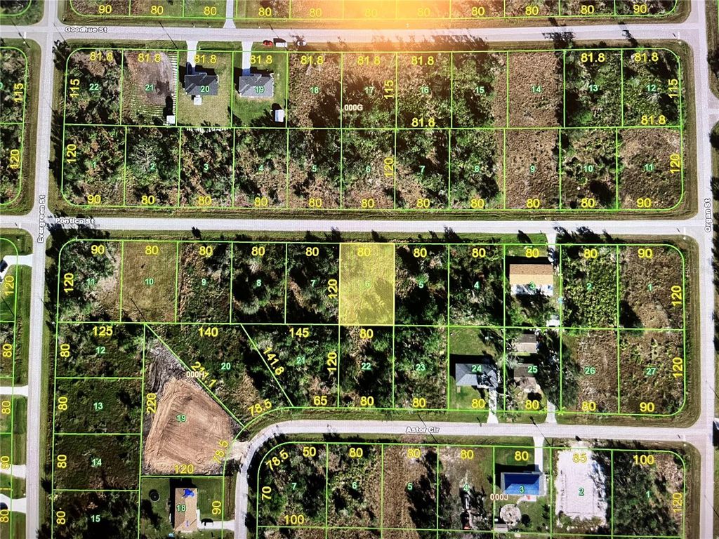 Photo of 29441 Pontico Street, Punta Gorda, FL 33982 (MLS # N6135602)