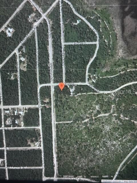 105 EASY LANE SATSUMA FL 32189