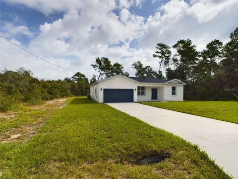 A home in OCKLAWAHA