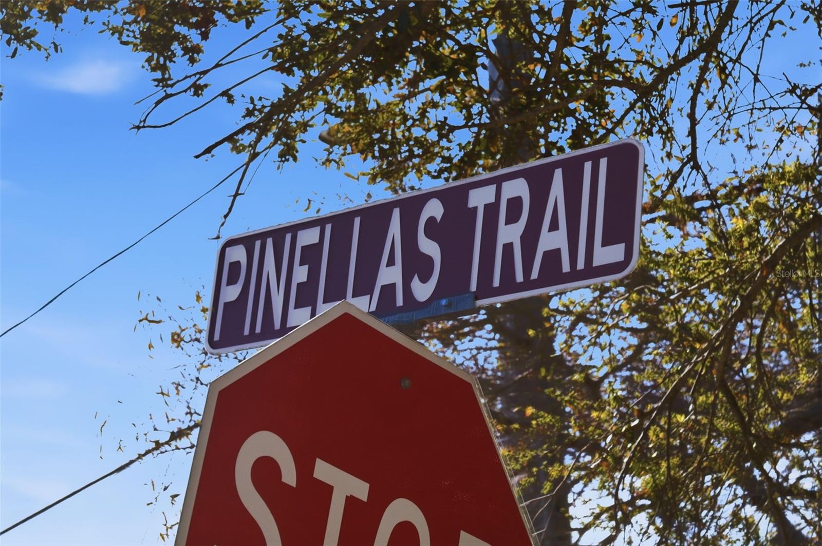 GUY ROY L SUB - Residential