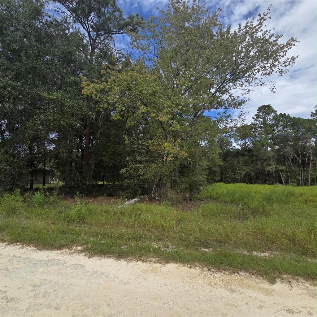 Photo of 14 SW 28tth Lane, Ocala, FL 34481 (MLS # TB8560932)