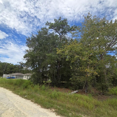 Tiny photo for 14 SW 28tth Lane, Ocala, FL 34481 (MLS # TB8560932)