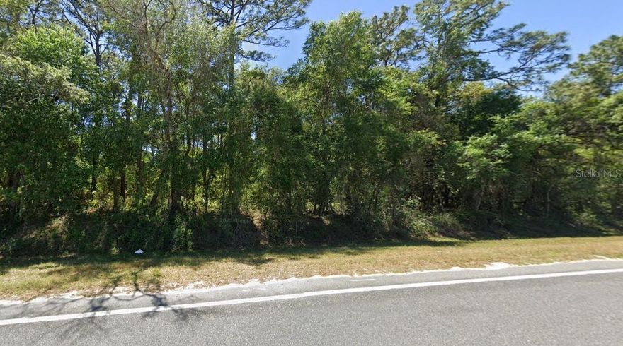 Build your dream home in Silver Springs Village, perfectly located within the breathtaking Ocala National Forest. This vacant lot is a fantastic opportunity for anyone who loves the outdoors. With optional POA membership, you can enjoy access to a private community boat ramp and boat slips on North Lake—perfect for fishing, boating, or simply relaxing by the water.

Surrounded by nearly half a million acres of natural beauty, the Ocala National Forest offers more than 600 lakes, 2 rivers, and famous freshwater springs including Juniper Springs, Silver Glen Springs, and Salt Springs. Adventure awaits with activities like swimming, skiing, big bass fishing, camping, hiking, and horseback riding all nearby. Plus, Daytona Beach is just about an hour away.

If you’re searching for peaceful living with endless recreation and stunning natural surroundings, this lot provides the ideal setting to build the home you’ve been dreaming of.