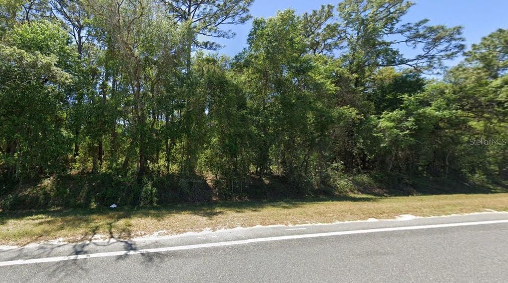 Photo of SE 17th Lane, Ocklawaha, FL 32179 (MLS # O6363358)