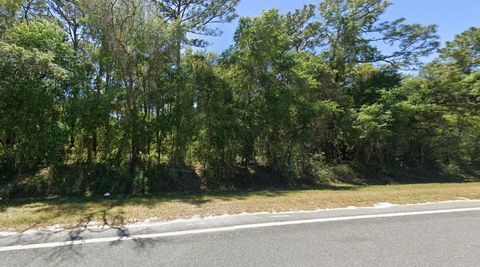 SE 17TH LANE OCKLAWAHA FL 32179