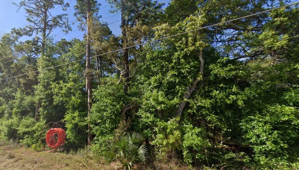 Photo of SE 17th Lane, Ocklawaha, FL 32179 (MLS # O6363358)
