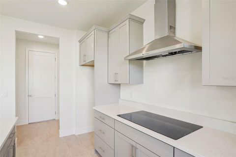 Tiny photo for 30301 Rustic Mill Street, Mount Dora, FL 32757 (MLS # O6368904)
