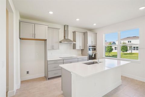 Tiny photo for 30301 Rustic Mill Street, Mount Dora, FL 32757 (MLS # O6368904)